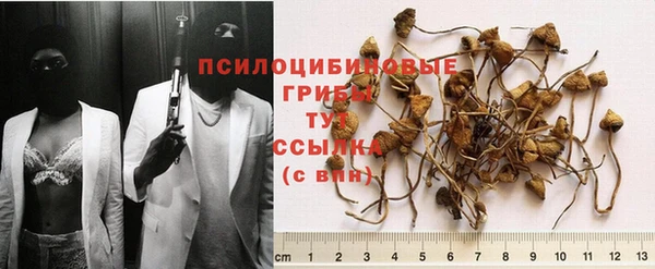 крисы Алексин