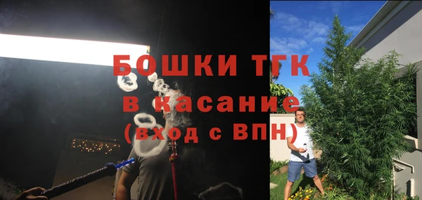 крисы Алексин