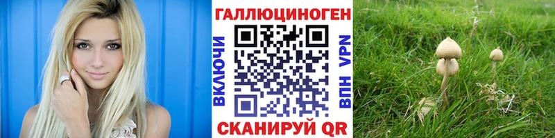 Псилоцибиновые грибы прущие грибы  Кизилюрт 